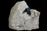 Large, Vibrant Azurite Crystal Cluster - Morocco #74688-1
